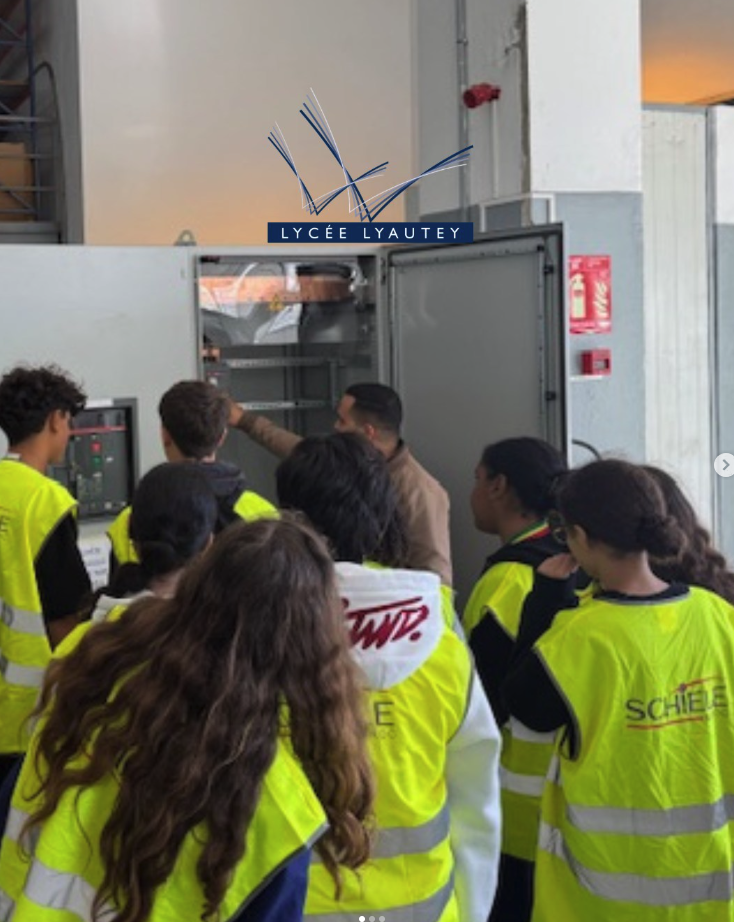 Immersion dans le monde de l'entreprise